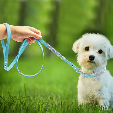 Suede Leather Puppy Dog Collar Leash Set Adjustable Rhinestone Cat Collars Walking Leashes for Small Medium Pets XS S M