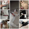 Cat Collar with Bell Collar for Cats Kitten Puppy Leash Collars for Cats Dog Chihuahua Pet Cat Collars Leashes Lead Pet Supplies