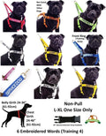 THERAPY DOG Blue Non Pull Waterproof Padded Pet Vest Harness Front Back Ring New