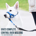 Dog Mouth Muzzles anti Bark Dog Collar Breathable Dog Training Tool Nylon Muzzle Set with Reflective Strips Summer Pet Leashes