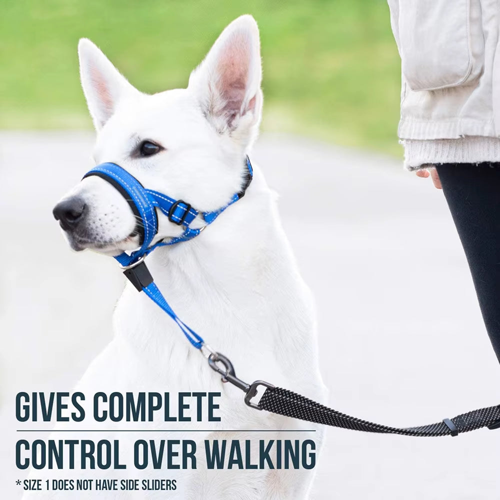 Dog Mouth Muzzles anti Bark Dog Collar Breathable Dog Training Tool Nylon Muzzle Set with Reflective Strips Summer Pet Leashes