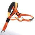 Dog Mouth Muzzles anti Bark Dog Collar Breathable Dog Training Tool Nylon Muzzle Set with Reflective Strips Summer Pet Leashes