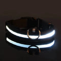 Dog Collar Nylon LED Night Safety Flashing Glow in the Dark Pet Dog Leash Pet Dogs Luminous Fluorescent Dog Accessories Collar