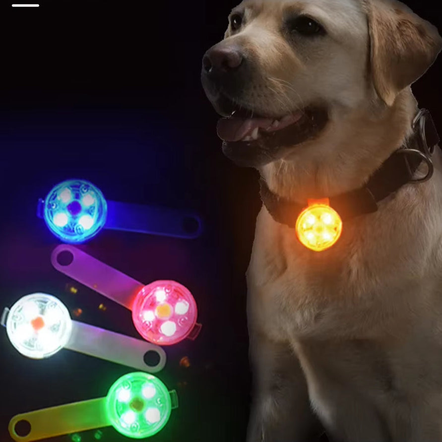 Dogs Collars anti Loss Pendant Waterproof Safety LED Flashing Light USB Rechargeable LED Light Pendant for Dogs Cats Pets