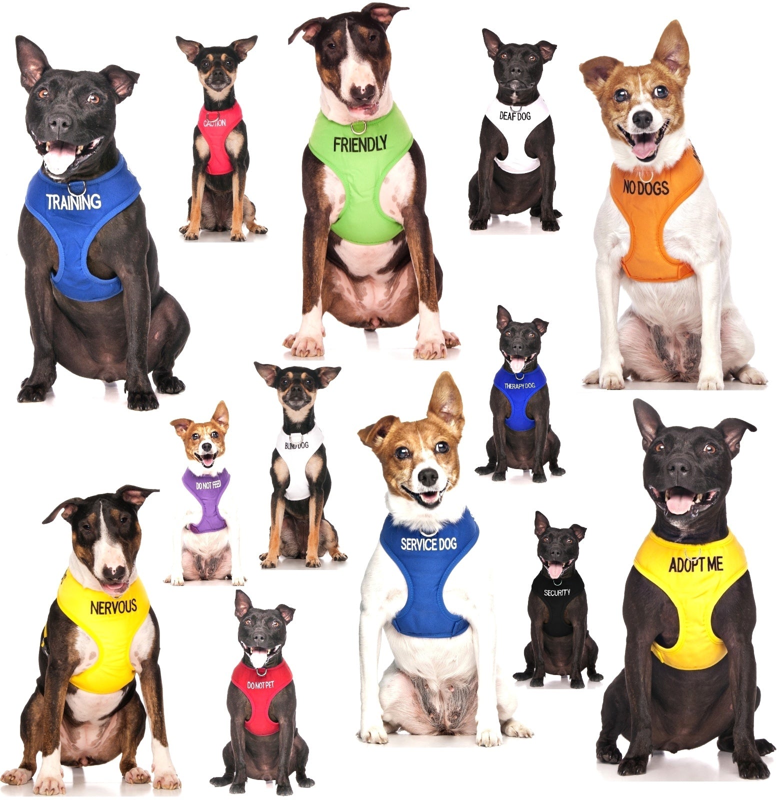 THERAPY DOG Blue Non Pull Waterproof Padded Pet Vest Harness Front Back Ring New