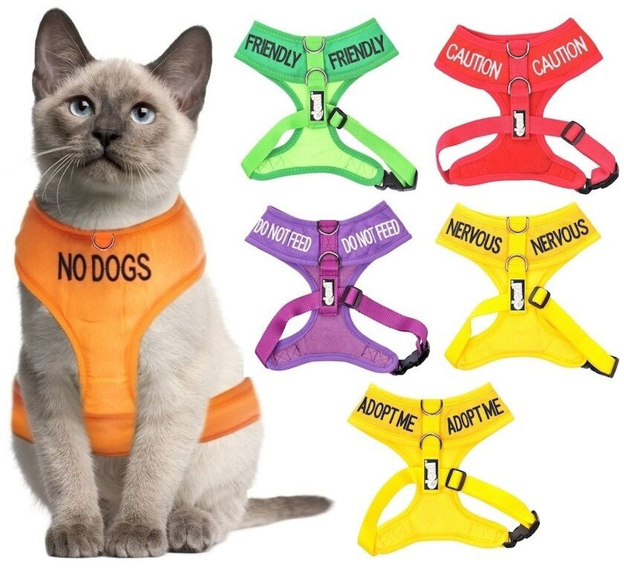 THERAPY DOG Blue Non Pull Waterproof Padded Pet Vest Harness Front Back Ring New